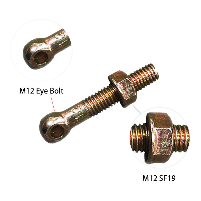 M12 Eye Bolt at M12 SF19